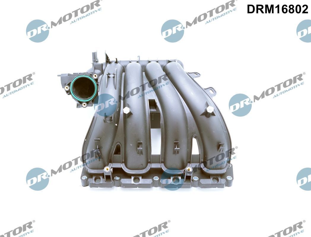 DR.MOTOR AUTOMOTIVE Ansaugbrücke DRM16802 Saugrohrmodul DR.MOTOR AUTOMOTIVE 607 DRM16802 günstig