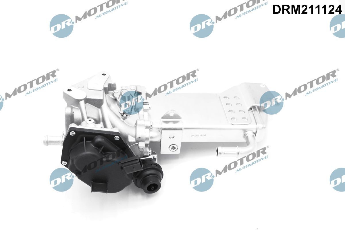 DR.MOTOR AUTOMOTIVE EGR-ventil DRM211124 DR.MOTOR AUTOMOTIVE DRM211124 Agr ventil Audi A8 4N2 pris