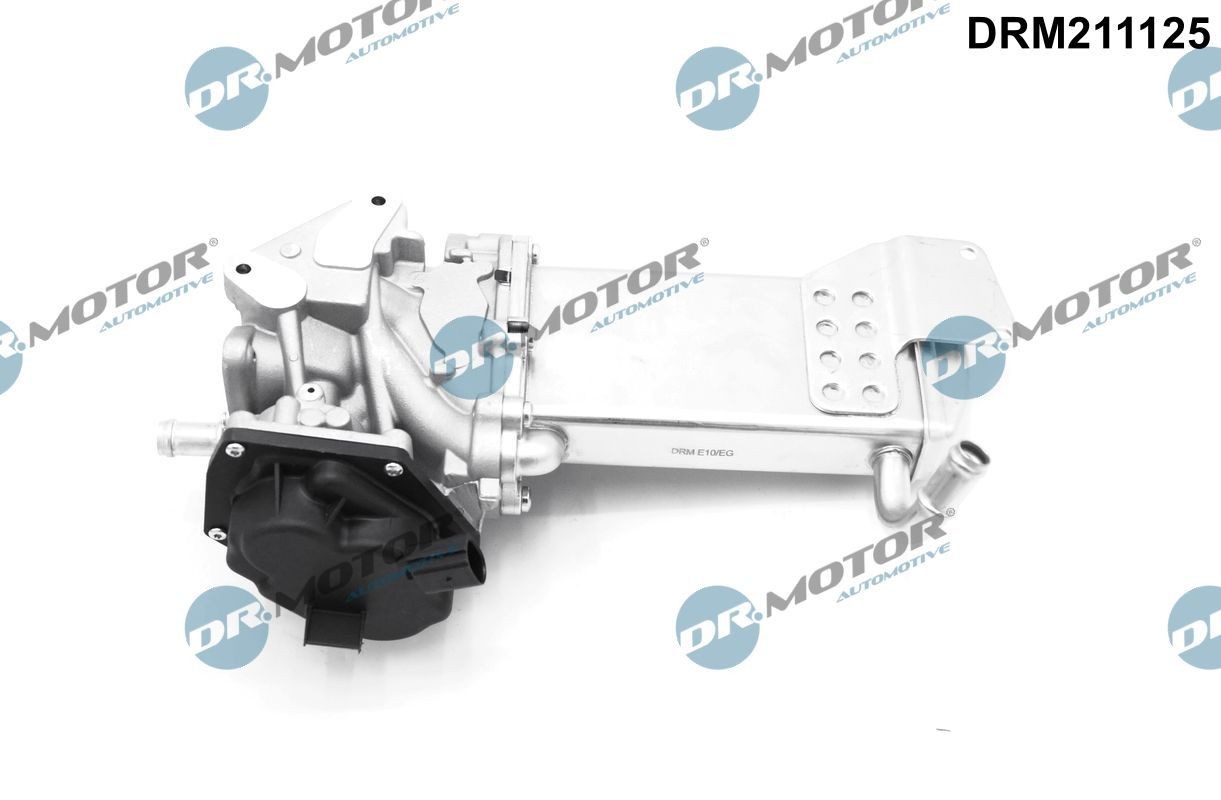 DR.MOTOR AUTOMOTIVE EGR-ventil DRM211125 DRM211125 DR.MOTOR AUTOMOTIVE agr ventil Subaru FORESTER