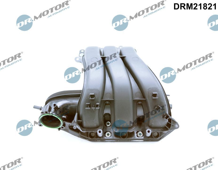 DR.MOTOR AUTOMOTIVE Ansaugbrücke DRM21821 Saugrohrmodul DR.MOTOR AUTOMOTIVE Saab 96 DRM21821