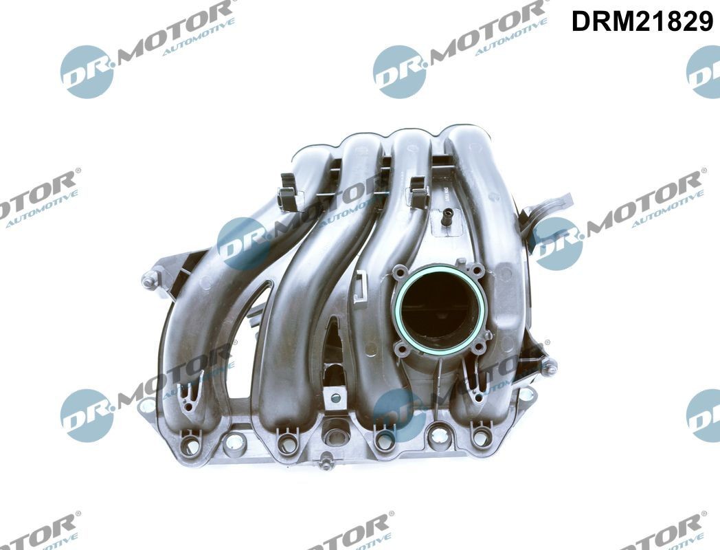 DR.MOTOR AUTOMOTIVE Πολλαπλή εισαγωγής DRM21829 Πολλαπλή εισαγωγής DR.MOTOR AUTOMOTIVE Seat LEON DRM21829
