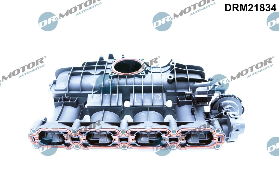 DR.MOTOR AUTOMOTIVE Ieplūdes kolektors DRM21834 DR.MOTOR AUTOMOTIVE DRM21834 Ieplūdes kolektors Audi TT FV lēti