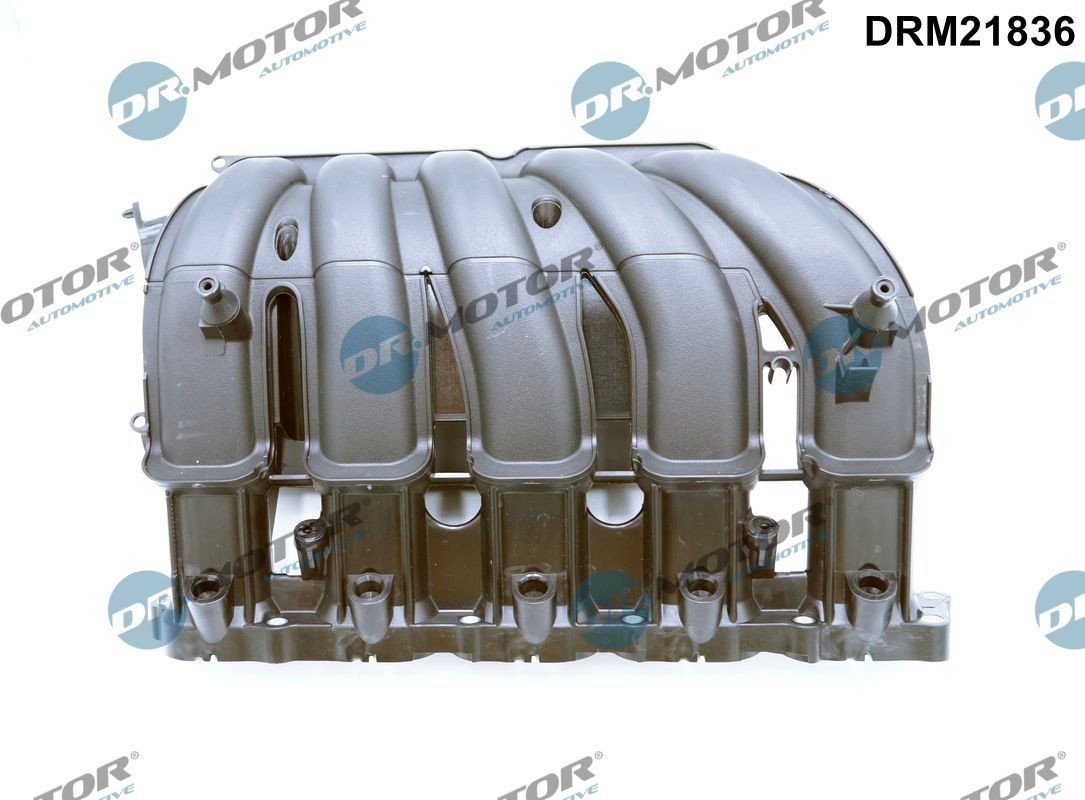 Ansaugbrücke DR.MOTOR AUTOMOTIVE DRM21836 DR.MOTOR AUTOMOTIVE DRM21836 Saugrohrmodul VW NEW BEETLE 2004 Kosten