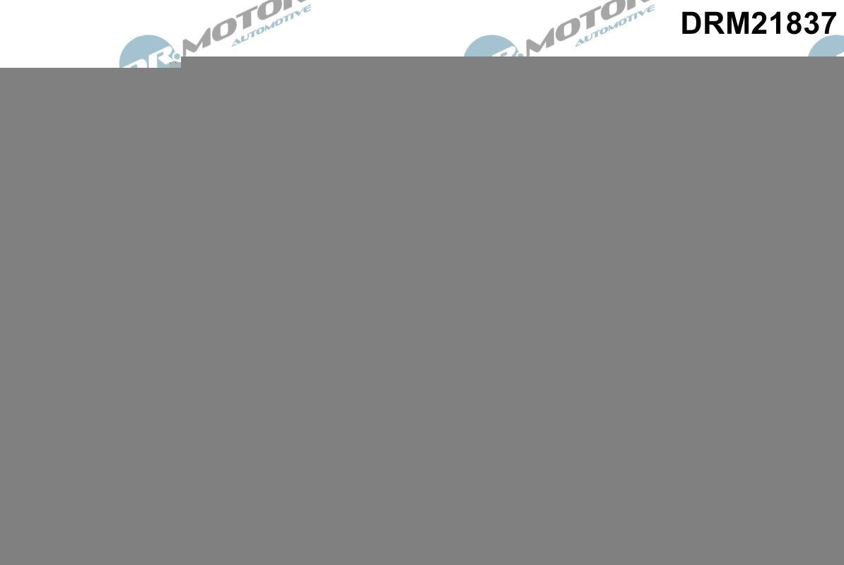 DR.MOTOR AUTOMOTIVE Πολλαπλή εισαγωγής DRM21837 Πολλαπλή εισαγωγής DR.MOTOR AUTOMOTIVE Seat LEON DRM21837