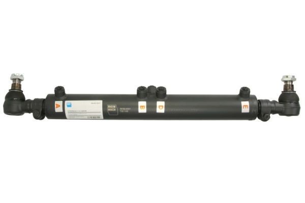 REINHOCH Cilindro operativo, Servosterzo RH59-9001 RH59-9001 costo Ammortizzatore di sterzo REINHOCH SUZUKI GRAND VITARA