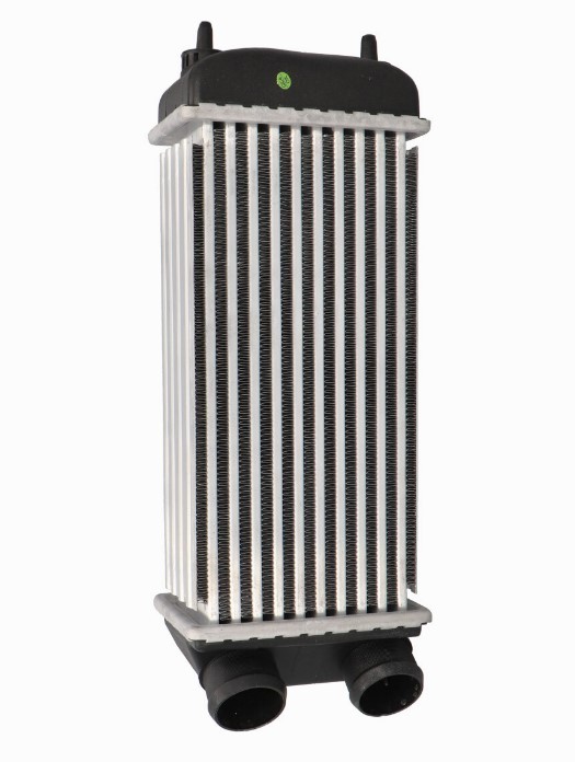 Vahejahuti CLIMTEX CH4-770 CLIMTEX CH4-770 PEUGEOT 206 2010 Intercooler