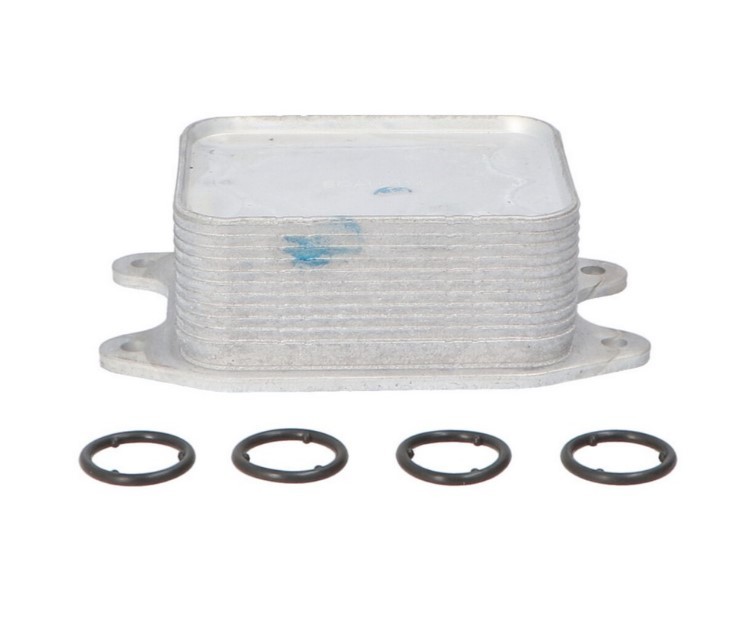 CLIMTEX Radiador de óleo, óleo do motor CH8-146 CLIMTEX CH8-146 Radiador de óleo do motor Golf VIII Variant preço