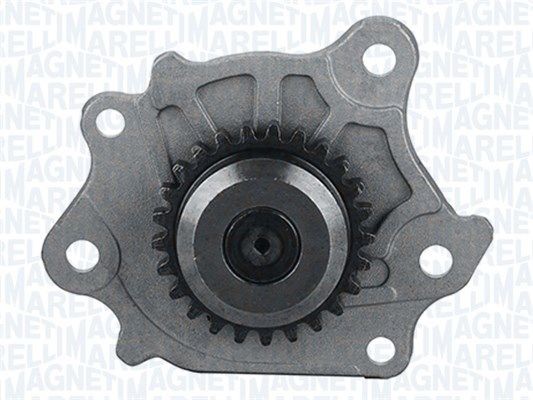 MAGNETI MARELLI Oliepumpe 351516000116 Oliepumpe Toyota SCP9_, NSP9_, KSP9_, NCP9_, ZSP9_ 351516000116 MAGNETI MARELLI