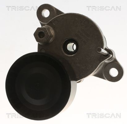 TRISCAN Tensor de correia, correia trapezoidal estriada 8641 101016 8641 101016 TRISCAN Tensor da correia Hyundai baratos