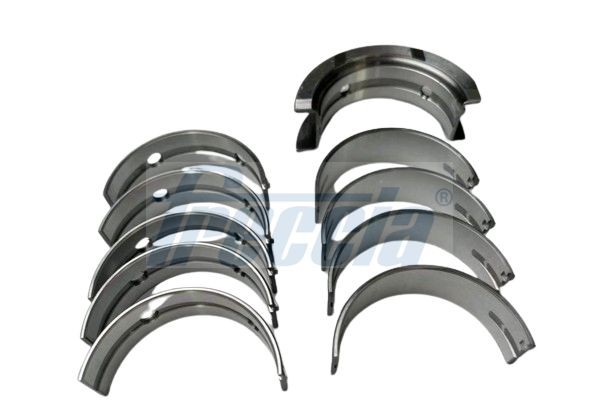 FRECCIA Krukasaslagerset MB19-101900 Krukaslagers FRECCIA TOYOTA MB19-101900