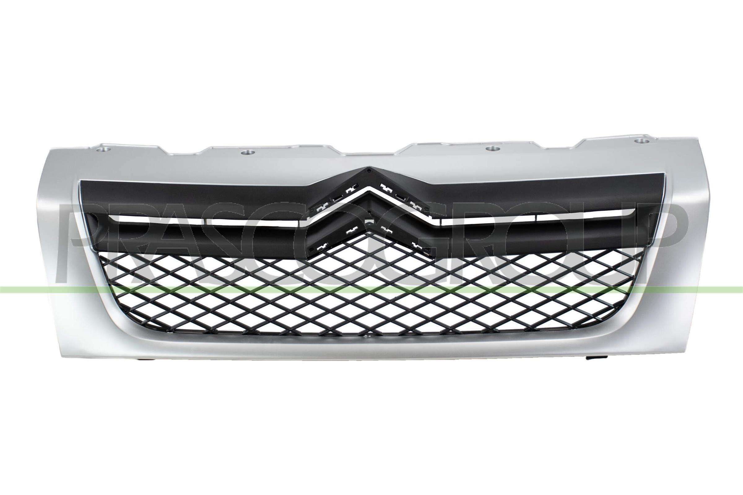 PRASCO Radiatora reste CI9542001 Radiatora reste PRASCO Citroën GS CI9542001