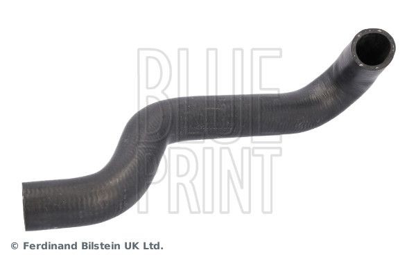 BLUE PRINT Tubo flexível do radiador ADBP930017 Tubo de água BLUE PRINT CORTINA ADBP930017 baratos