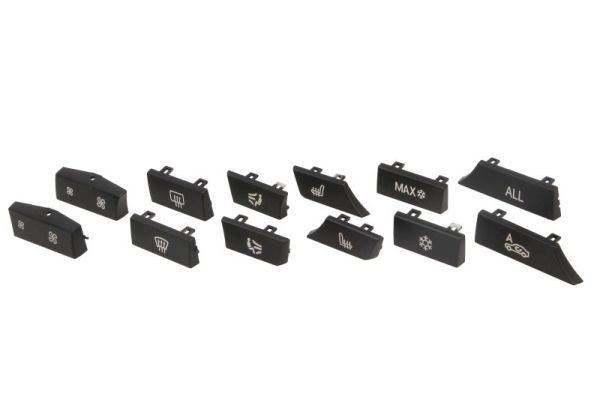 BLIC Targa 1000-00-0067111SP 1000-00-0067111SP Kit elettrico, gancio traino BLIC BMW X5 costo