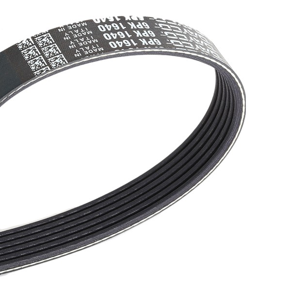 DAYCO Correa trapecial poli V 6PK1640 Transmisión por correa / cadena SUBARU Impreza V Hatchback (GT): Correa trapecial poli V DAYCO 6PK1640
