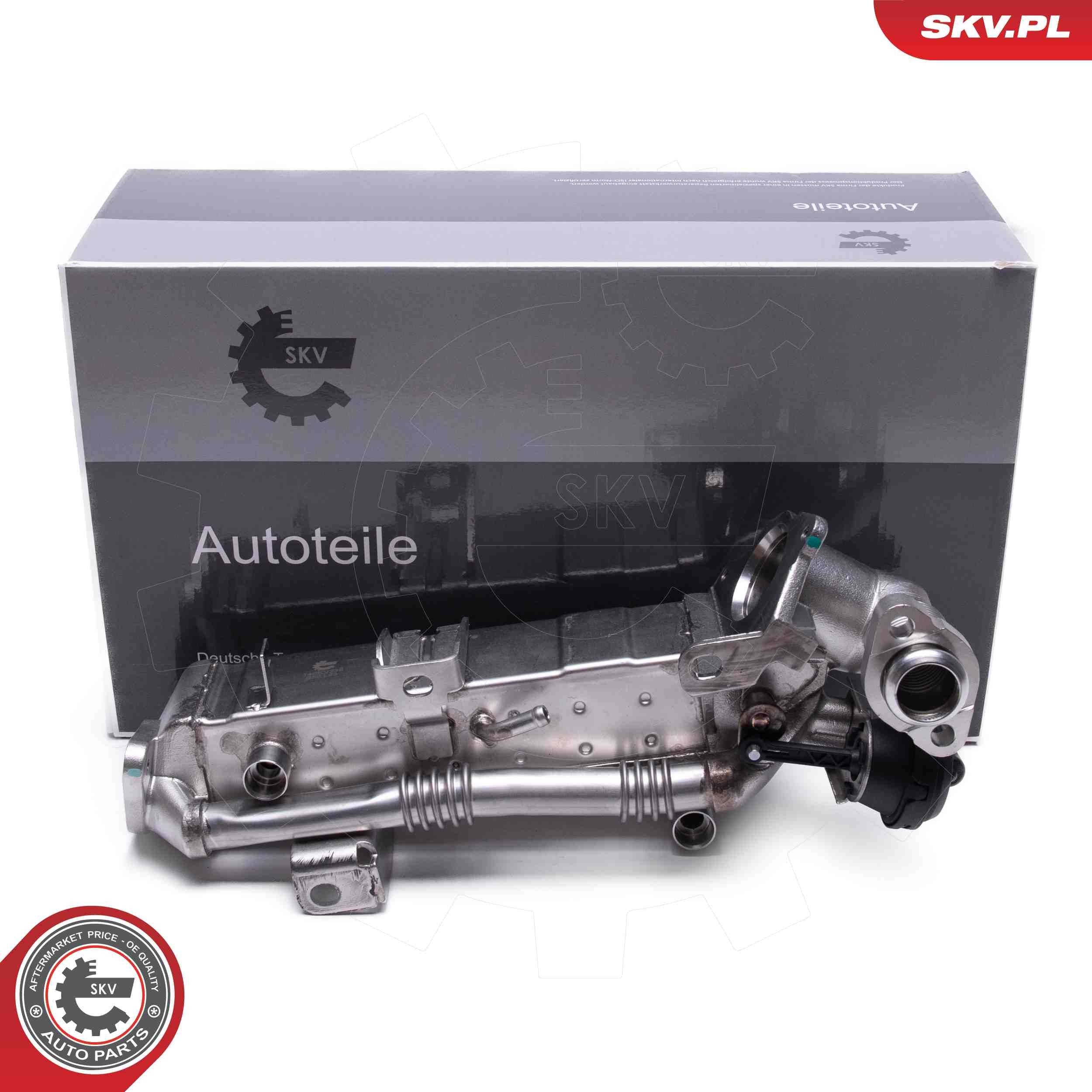 ESEN SKV Vanne EGR 14SKV239 Pompe EGR ESEN SKV X4 14SKV239 pas cher