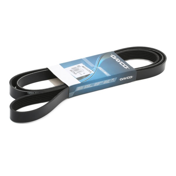 Ķīļrievu siksna DAYCO 6PK2255 DAYCO 6PK2255: Rievsiksna SsangYoung KYRON 2011