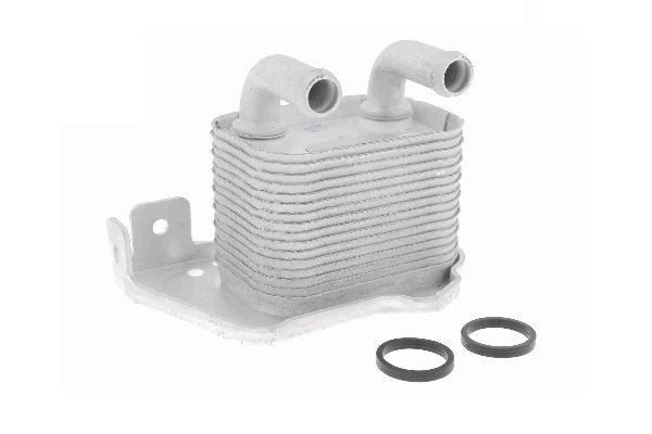 GOOM Oliekoeler OC-0171 OC-0171 GOOM Olie-koeler Kia goedkoop