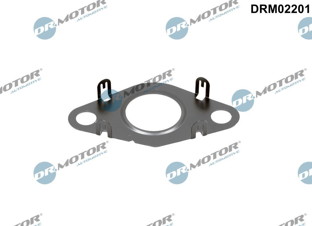 DR.MOTOR AUTOMOTIVE Tesnenie, Vedenie AGR-ventilu DRM02201 DR.MOTOR AUTOMOTIVE DRM02201 Tesnenie, agr-ventil 3 Coupe (E46) cena