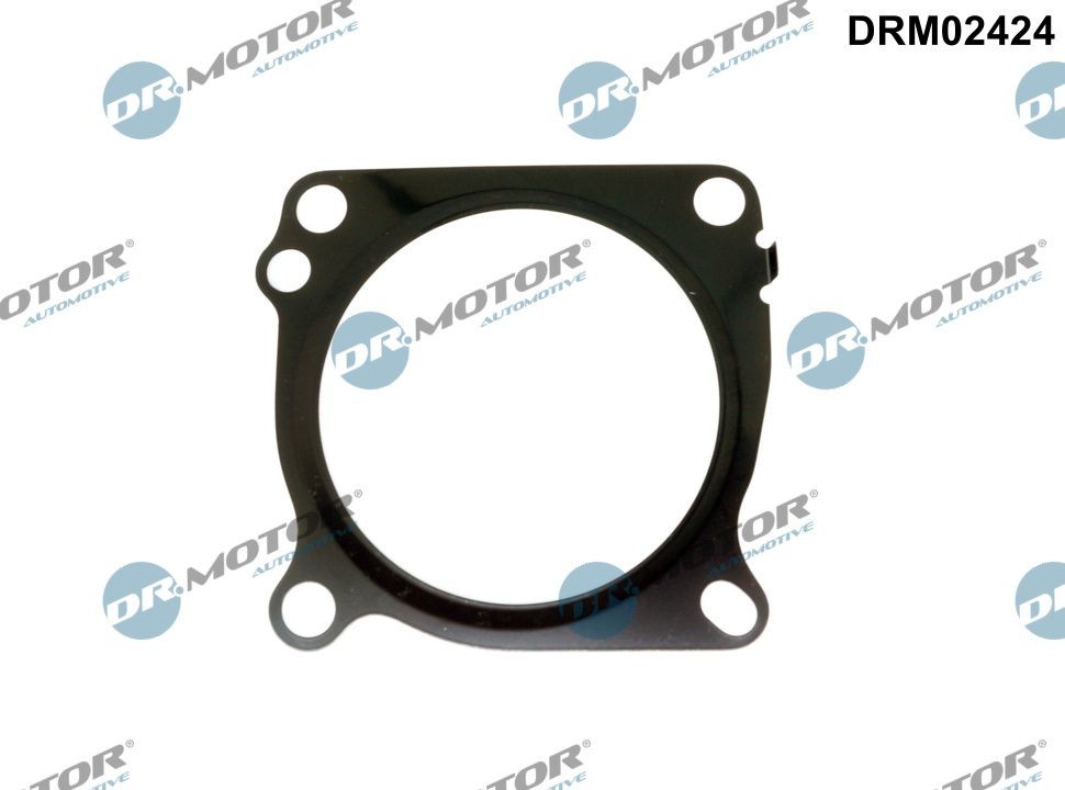 DR.MOTOR AUTOMOTIVE Packning, gasspjällsstuts DRM02424 DRM02424 DR.MOTOR AUTOMOTIVE Spjällhuset Volkswagen
