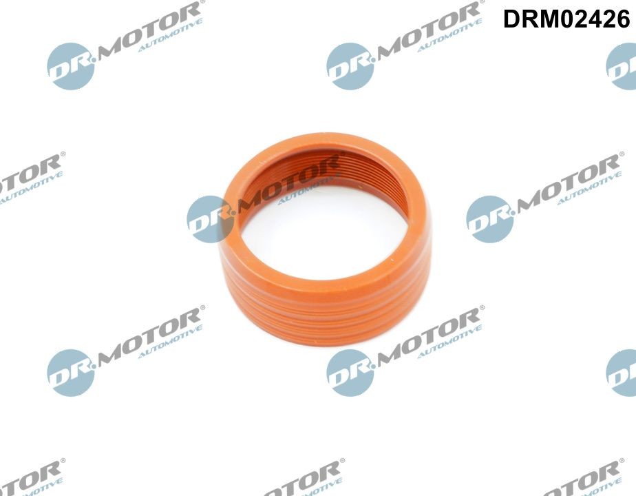 DR.MOTOR AUTOMOTIVE Tetningsring, laseluftslange DRM02426 Tetningsring, laseluftslange DR.MOTOR AUTOMOTIVE Seat INCA DRM02426