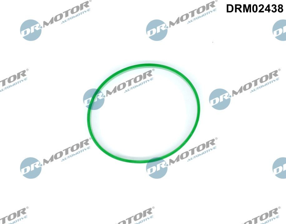 DR.MOTOR AUTOMOTIVE Junta, apoio da válvula de borboleta DRM02438 DR.MOTOR AUTOMOTIVE DRM02438 Borboleta de distribuição alimentação de ar Volvo S40 mk2 preço