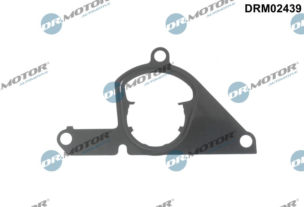 DR.MOTOR AUTOMOTIVE Tihend, vaakumpump DRM02439 DR.MOTOR AUTOMOTIVE DRM02439 Tihend, vaakumpump