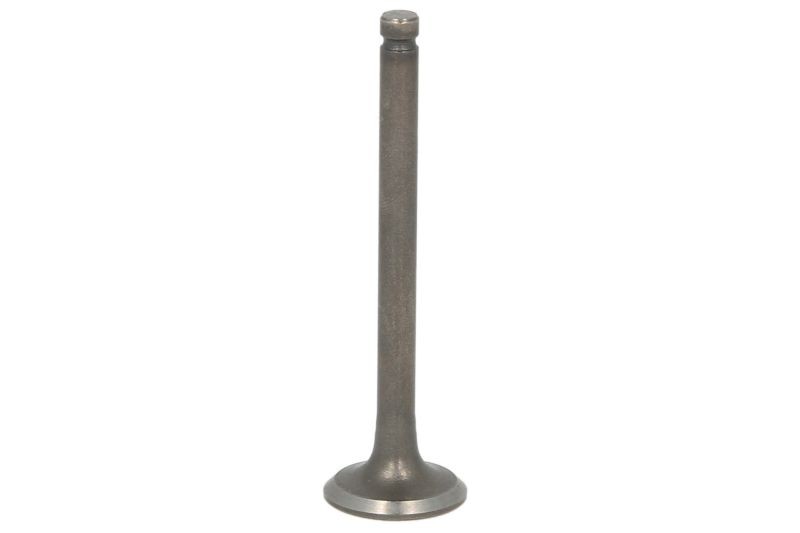 INPARTS Sací ventil IP000437 INPARTS Sací ventil IP000437 recenzia