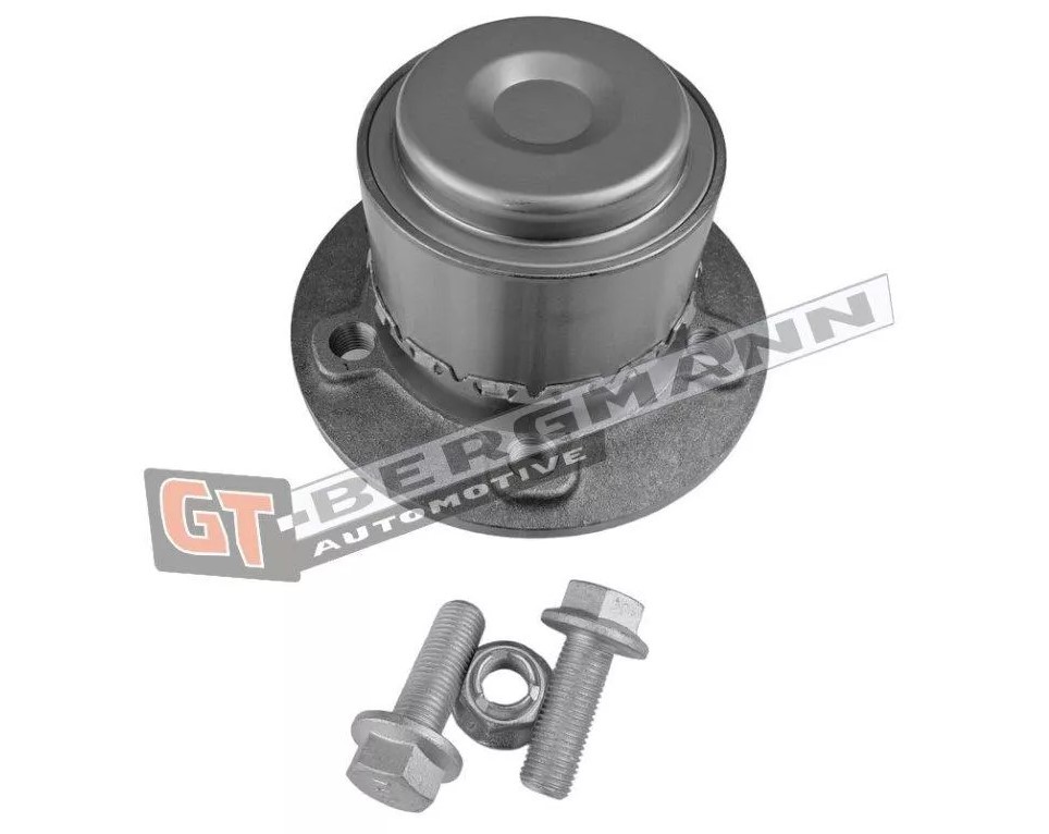 GT-BERGMANN Wiellagerset GT24-169 Wielnaven GT-BERGMANN VIANO GT24-169 goedkoop