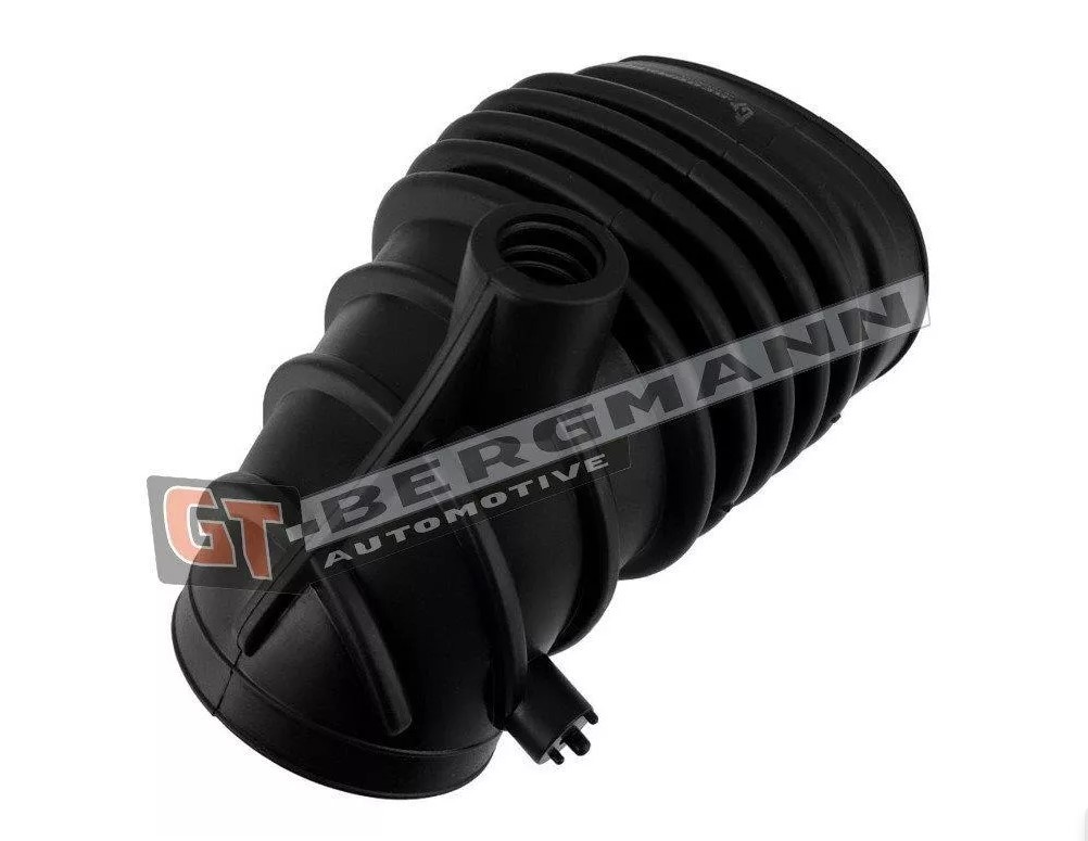 GT-BERGMANN Insugsslang GT52-712 GT52-712 GT-BERGMANN Insug, luftfilter Citroën
