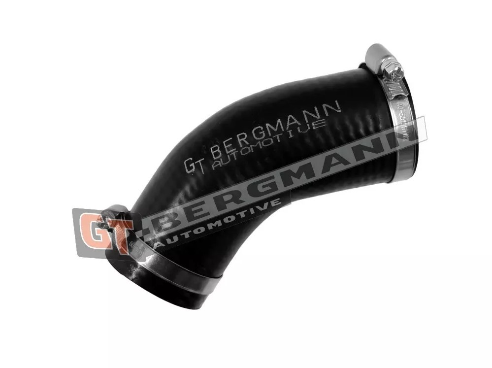 Hadica plniaceho vzduchu GT-BERGMANN GT52-786 GT-BERGMANN GT52-786 Hadica plniaceho vzduchu SEAT LEON 2021