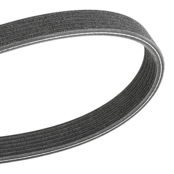 DAYCO Serpentine belt 6PK1195 DAYCO 6PK1195 Fiat Punto Mk2 serpentine belt replacement