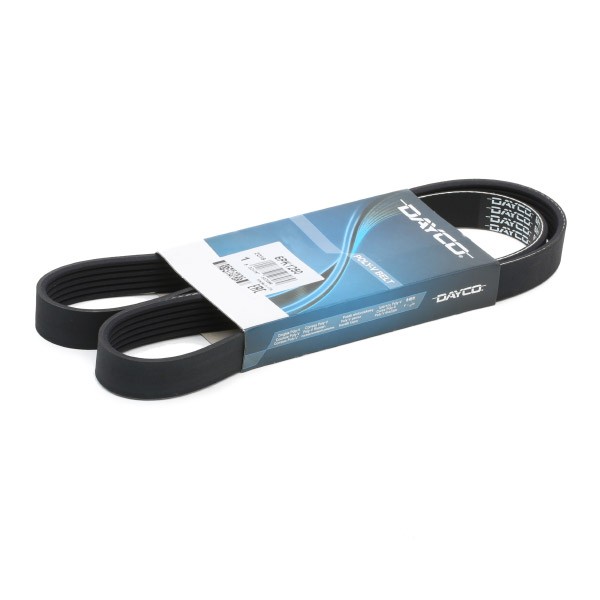 Soonrihm DAYCO 6PK1250 DAYCO 6PK1250: Soonrihm Ford KUGA 2008