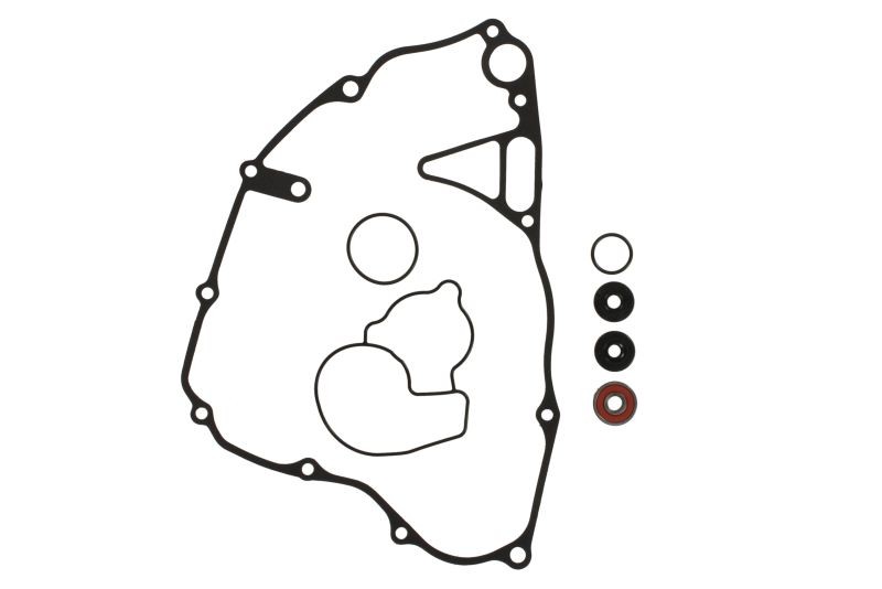 ATHENA Junta, bomba de água P400250475009 ATHENA Junta de bomba de água P400250475009 experiência