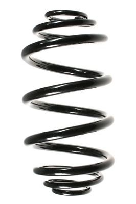 SPIDAN Fjeder GKNW10125 Fjedre SPIDAN Nissan CUBE GKNW10125