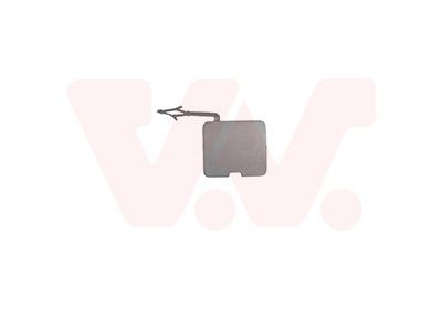 VAN WEZEL Lucka, bogserkrok 4416557 4416557 VAN WEZEL skydd, dragkrok RENAULT MEGANE