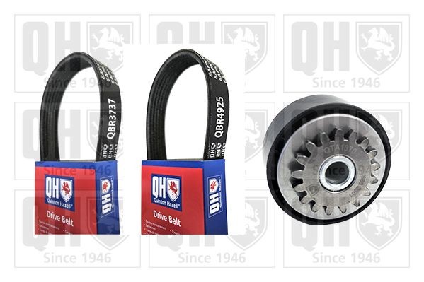QUINTON HAZELL Keilrippenriemensatz QDK179 QDK179 QUINTON HAZELL RENAULT Keilrippenriemensatz