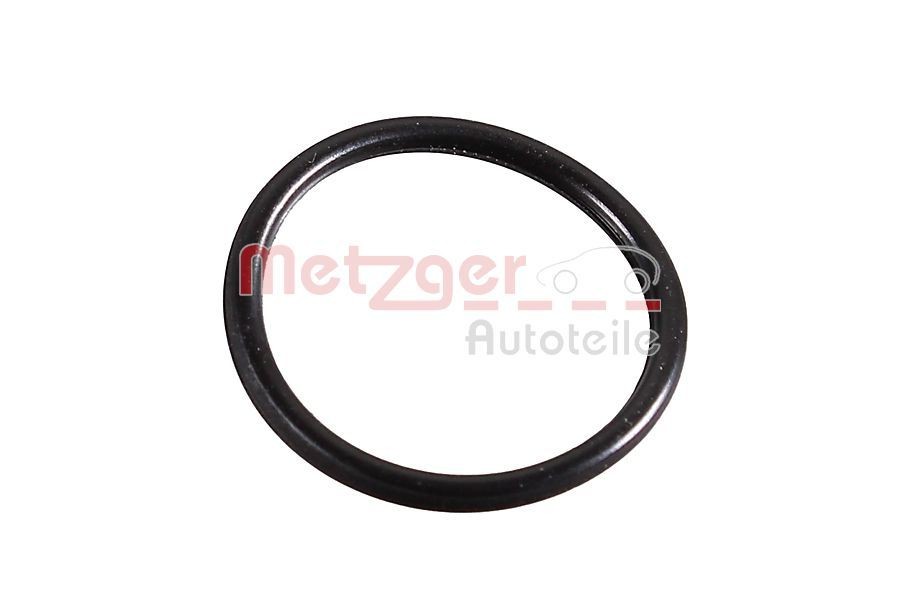 METZGER Retentor 2430095 METZGER 2430095 Retentor