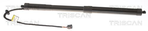 TRISCAN Pneumatická prużina, Batożinový / nákladný priestor 8710 27310 Tlmiče kufra TRISCAN S40 8710 27310 lacné