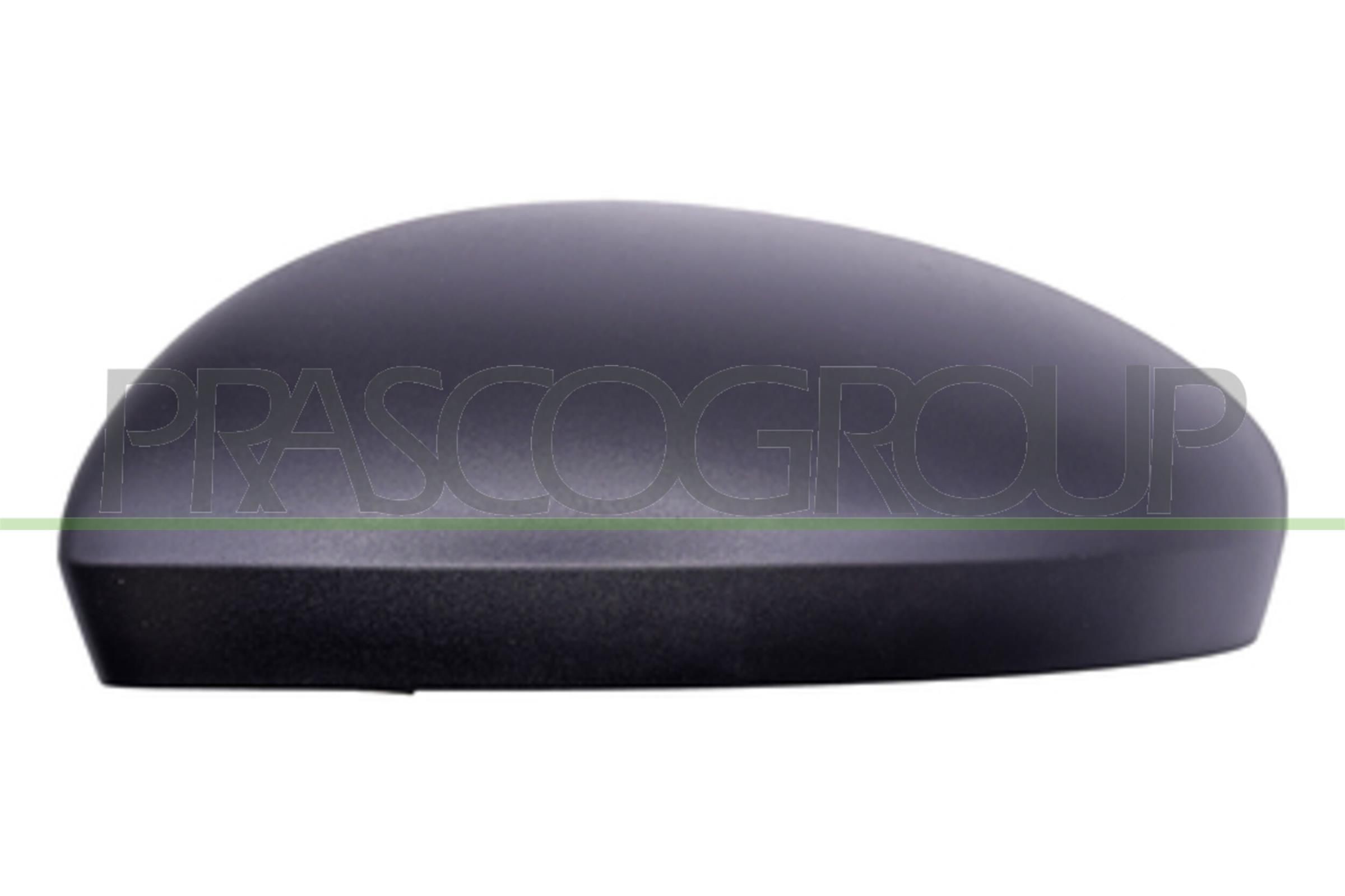 PRASCO Kryt vonkajżieho zrkadla RN7047404 PRASCO RN7047404 Kryty na spatne zrkadla Captur II cena