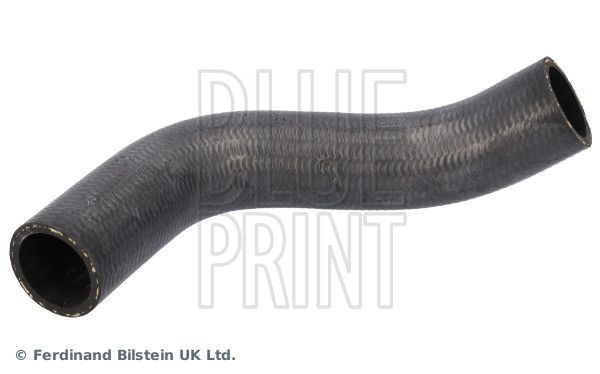 BLUE PRINT Radiatorslange ADBP930020 BLUE PRINT ADBP930020 Radiatorslange Forester V (SK) pris
