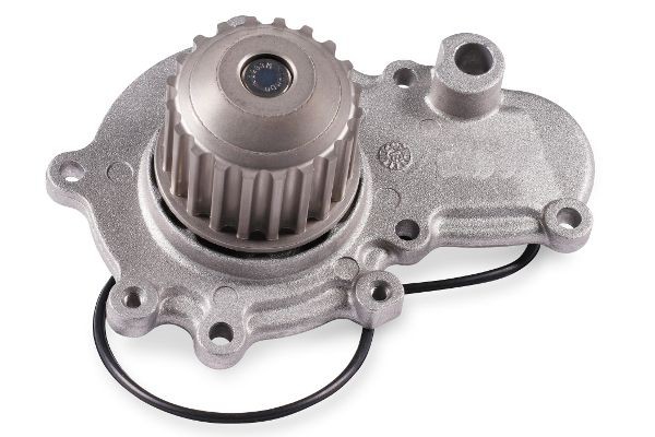 HEPU Veepump P1717 HEPU P1717 Veepump Chrysler Neon PL hind