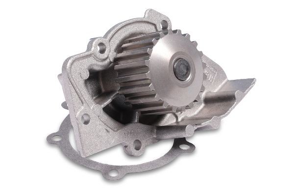 HEPU Vannpumpe P841 HEPU P841 originale Vannpumpe Partner Origin Van (G_) hva koster