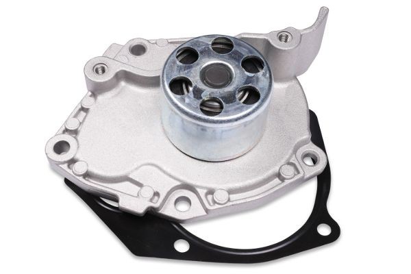 HEPU Vannpumpe P966 Vannpumpe HEPU FUEGO P966 billige