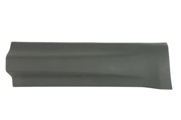 BLIC Modanatura decorativa / protettiva, Portiera 5703-04-2002574P BLIC 5703-04-2002574P Modanatura CHEVROLET CORVETTE prezzo