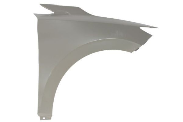 BLIC Lokasuoja 6504-04-7800312P BLIC 6504-04-7800312P WARTBURG 353 lokasuoja hinta