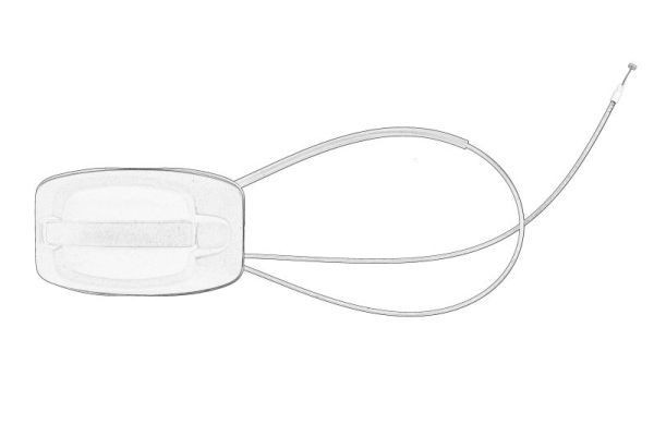 PACOL Maniglia porta IVE-DH-0014 IVE-DH-0014 Maniglia apriporta CITROËN C2 PACOL costo