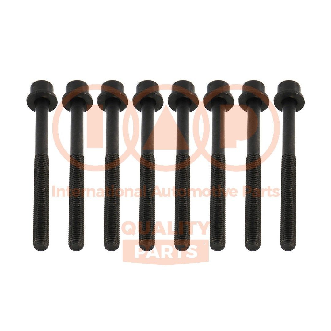 IAP QUALITY PARTS Kit bulloni testata 119-13190 119-13190 costo Bulloni testata IAP QUALITY PARTS NISSAN NAVARA