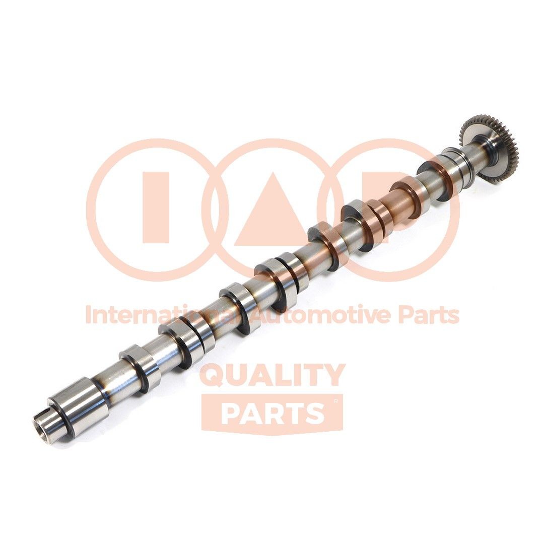 IAP QUALITY PARTS Εκκεντροφόρος άξονας 124-50041 124-50041 Εκκεντροφόρος άξονας AUDI A5 IAP QUALITY PARTS