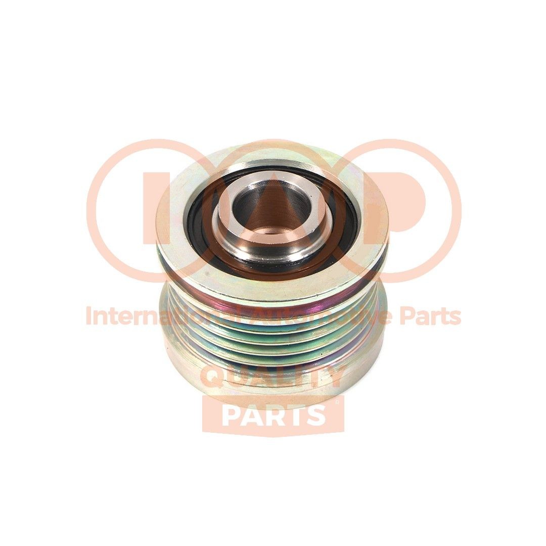 IAP QUALITY PARTS Dynamopoelie 127-12191 IAP QUALITY PARTS 127-12191 Reparatiesets W169 2006