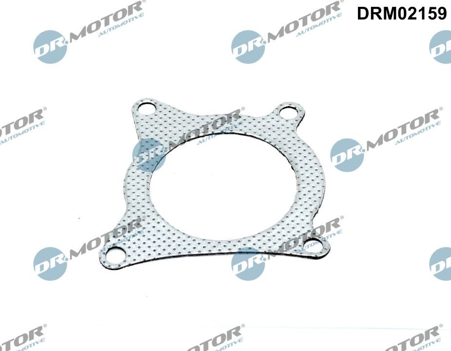 DR.MOTOR AUTOMOTIVE Guarnizione, Tubo gas scarico DRM02159 DRM02159 Guarnizione scarico DR.MOTOR AUTOMOTIVE TOYOTA COROLLA costo